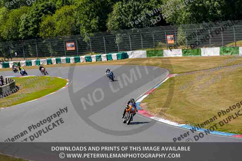 Vintage motorcycle club;eventdigitalimages;mallory park;mallory park trackday photographs;no limits trackdays;peter wileman photography;trackday digital images;trackday photos;vmcc festival 1000 bikes photographs